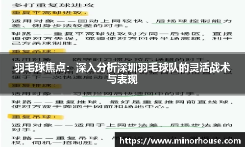 羽毛球焦点：深入分析深圳羽毛球队的灵活战术与表现
